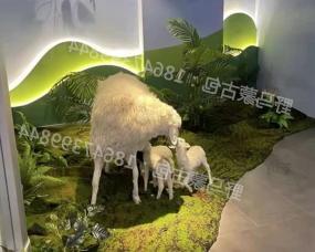 台湾手工羊